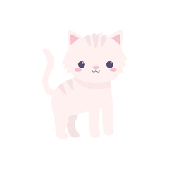 cute little cat