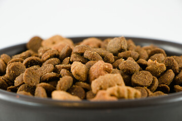Detail of pets dry food in a bowl isolated on white background