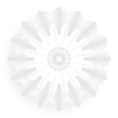 floral circular ornament, white color, vector illustration 