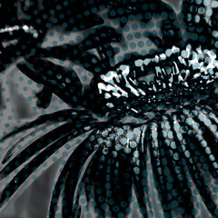 Abstract Macro Illustrations of Plant Life