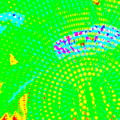 Abstract Macro Illustrations of Plant Life