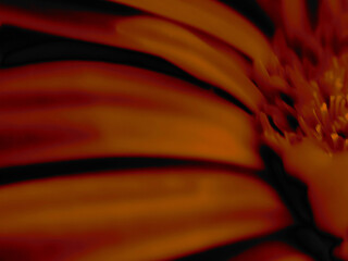 Abstract Macro Illustrations of Plant Life