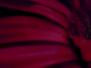 Abstract Macro Illustrations of Plant Life