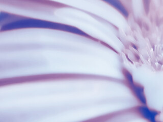 Abstract Macro Illustrations of Plant Life