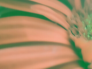 Abstract Macro Illustrations of Plant Life