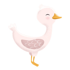 White Goose in different poses. Cute vector illustration in simple hand-drawn cartoon style. Cute cartoon ducks. Character bird with outline and texture