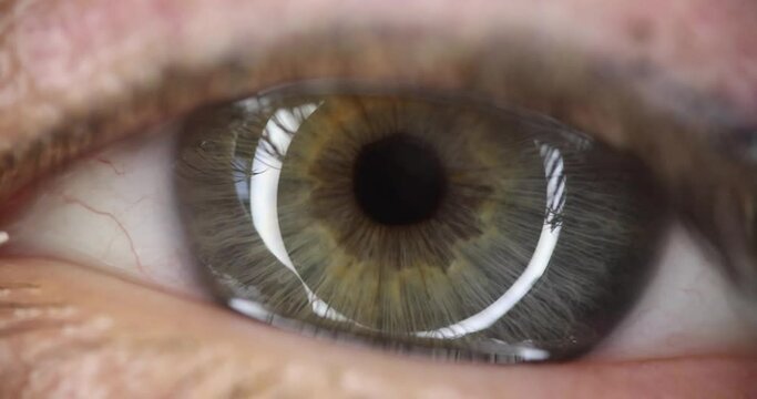 Gray and green colored eye slow motion 4k movie