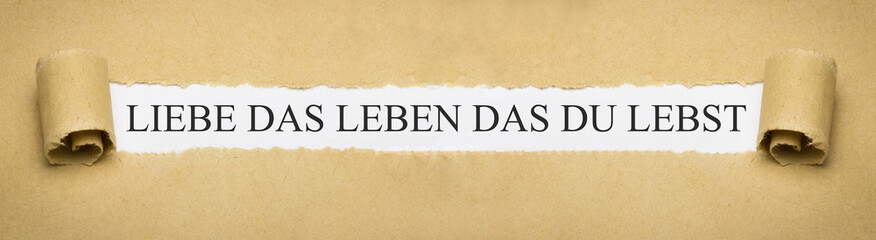 Liebe das Leben das du lebst
