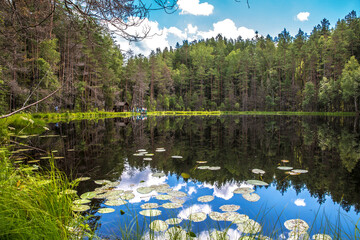 reflections of the forest and sky in the black lake in summer 