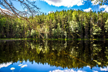 Fototapeta na wymiar eflections of the forest and sky in the black lake in summer