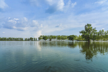 Scenic view of traditional flooded fields like a still lake on floating season in rural Thailand. Landscape of nature in rainy season and storm damage in agriculture. Heavy flood water concept.