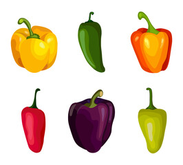 Set of pepper on white background. Variety vector pepper in flat style.