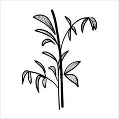 Black and white vector bamboo. Branches and leaves