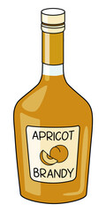 Classic Apricot Brandy sweet fruit liquor in a bottle. Doodle cartoon hipster style vector illustration isolated on white background. Good for party card, posters, bar menu or alcohol cook book.