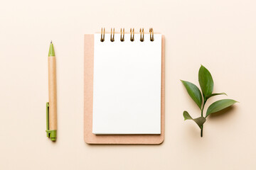 eco-friendly Empty notebook with pen and green leaf on Colored background for note