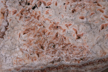 Marble background. Coral and gray colors. Stone texture.