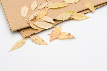 yellow ornamental autumnal leaves and natural paper on a white background
