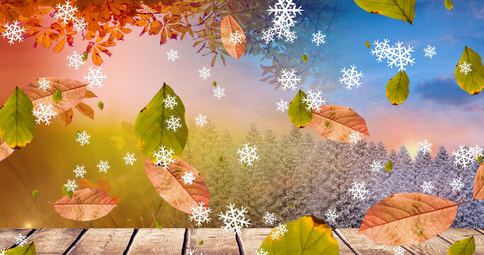 Image Of Christmas Snowflakes And Leaves Falling Over Wooden Boards And Snow Covered Trees