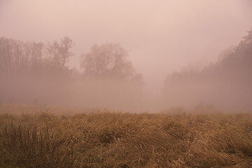 Fototapeta na wymiar A thick fog rises over the river on a cloudy November day.