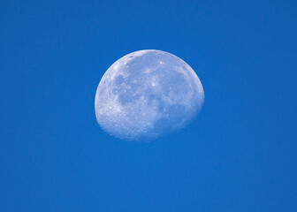 The moon in the morning light!