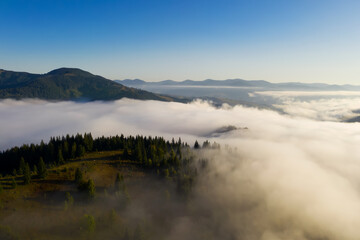 Beautiful landscape with thick mist and forest in mountains. Drone photography
