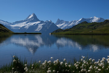 Fototapeta na wymiar Bachalpsee; Schweiz, Grindelwald, Wetterhorn, First, Faulhorn
