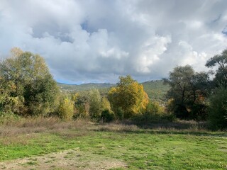 autumn trees on the field, green mountains background, cloudy sky