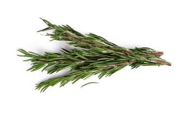 a few sprigs of rosemary isolated on a white background