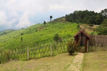 Fototapeta na wymiar view of landscape is green grass on nature mountain in rainny season at thailand