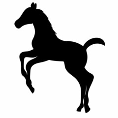 Fototapeta na wymiar foal black silhouette vector, isolated, on white background