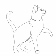 cat drawing one line  on white background