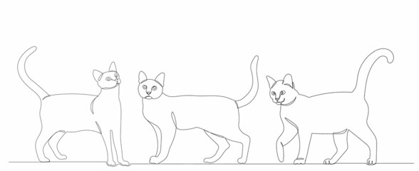 cats drawing one line isolated, vector on white background