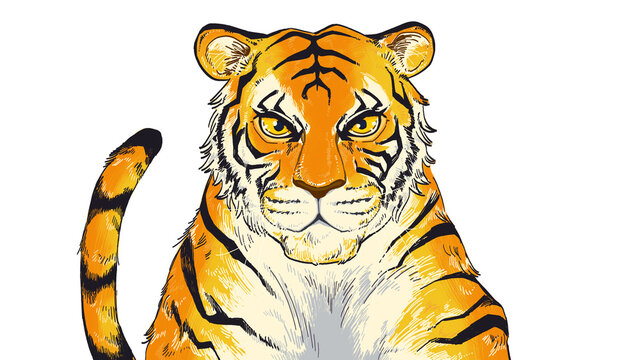 虎の手描きイラスト素材