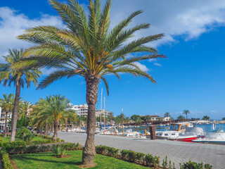 Fototapeta premium Mallorca - Hafen in Port de Alcudia