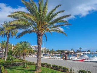 Foto auf Acrylglas Mallorca - Hafen in Port de Alcudia © Ina Ludwig