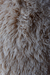Texture de fourrure beige