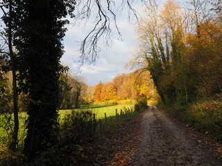 Naklejka premium OLYMPUS DIGITAL CAMERA