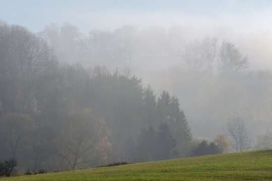 morgennebel
