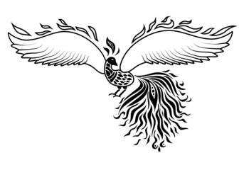 Obraz premium Vector illustration, fire bird, phoenix, beautiful bird, in line art and doodle