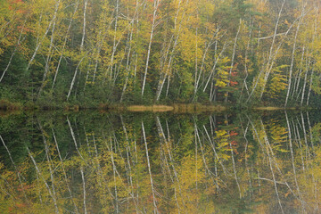 Autumn landscape of the shoreline of Fish Lake  with mirrored reflections in calm water, Hiawatha National Forest, Michigan's Upper Peninsula, USA