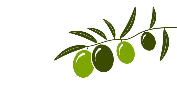 icona, olive, olio d'oliva