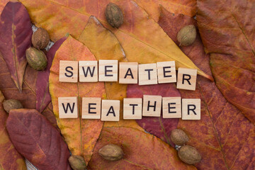 Sweater weather letters with yellow and red leaves and fall fruits. Minimal flat lay Minimal flat lay creative concept. Dried leaves on background.