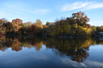 Lake and leaves in fall