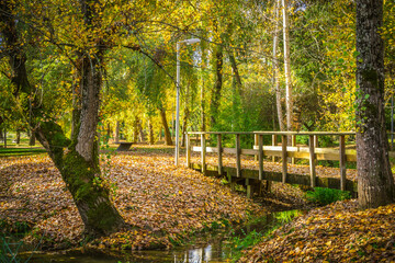 Naklejka premium Wonderful autumn landscape. Beautiful romantic city park with autumn leaves on the ground. City park of Bonito, located in Entroncamento - Portugal 