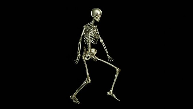 Skeleton dancing. Seamless loop animation on black background, Wave Hip Hop, Ghost character, Dancing Skull, Transparent video with luma matte, 3d render