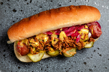 fast food hot dog with homemade sausage, deep-fried onions and pickled cucumbers
