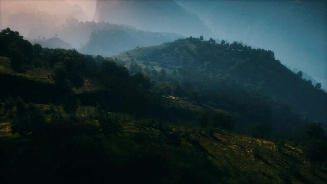 autumn forest on green rocky hills