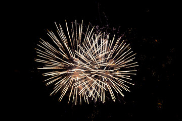 Fireworks exploding against the night sky