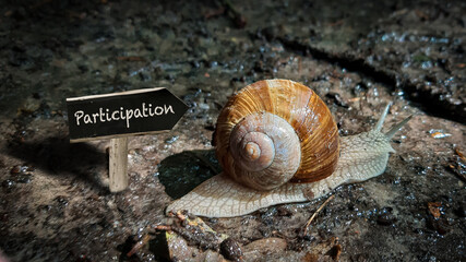 Street Sign to Participation