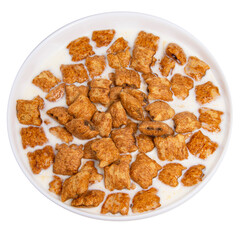 Crispy pads chocolate flakes in milk isolated on the white background